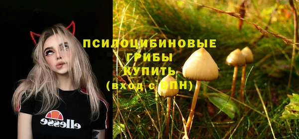 гашик Беломорск